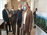  بازدید سرزده فرماندار پردیس از ادارات شهرستان 