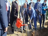 در روز درخت کاری انجام گرفت: غرس نهال به نام شهدای گرانقدر شهرستان پردیس