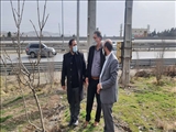 در آستانه سال جدید انجام گرفت: بررسی وضعیت محورهای مواصلاتی شهرستان پردیس توسط فرماندار 