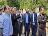 فرماندار پردیس: موفقیت دستگاه های متولی در مقابله با ساخت و ساز غیر مجاز ارزیابی شود