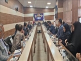 امید آفرینی و افزایش تاب آوری در نسل جوان کاهش آسیب‌های اجتماعی را به دنبال دارد