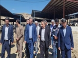 بررسی مشکلات بزرگترین واحد دامداری شهرستان پردیس با حضور فرماندار