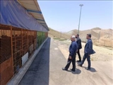 بازدید معاون عمرانی فرماندار از مرکز نگهداری و ساماندهی سگ‌های بلاصاحب شهرستان پردیس
