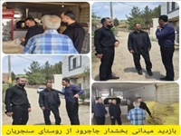 بازدید میدانی بخشدار جاجرود و رئیس اداره بازرسی فرمانداری پردیس از روستای سنجریان