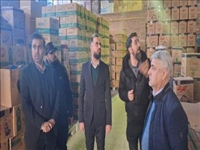 بازدید سرزده از مراکز توزیع اقلام اساسی و نانوایی های سطح شهر بومهن