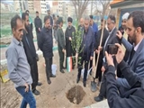 غرس نهال به یاد شهدای حملات تروریستی با حضور مسئولان شهرستان پردیس در بوستان شقایق بومهن